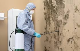 Costa Mesa, CA Mold Removal Company